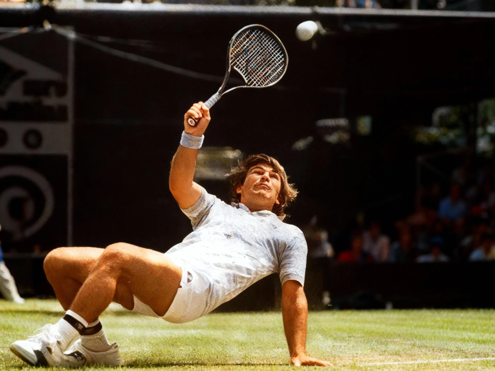 1984 oz wilander kriek aa