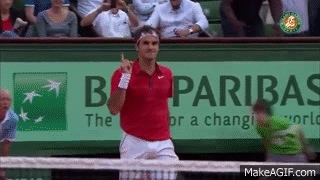 2011 rg federer djokovic