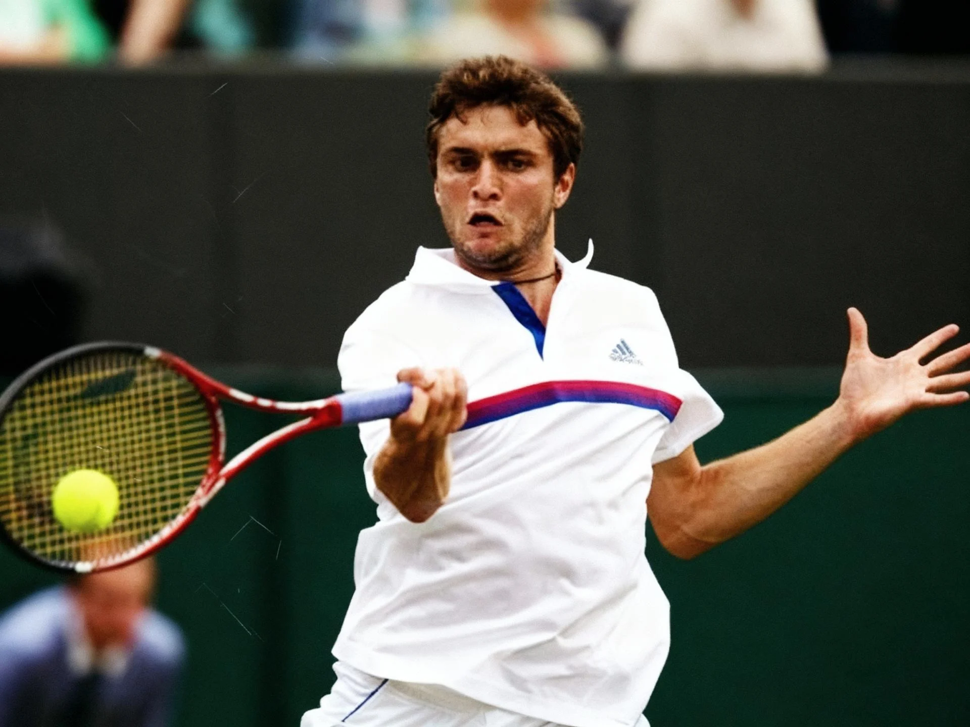 2011 wim delpotro simon 0a