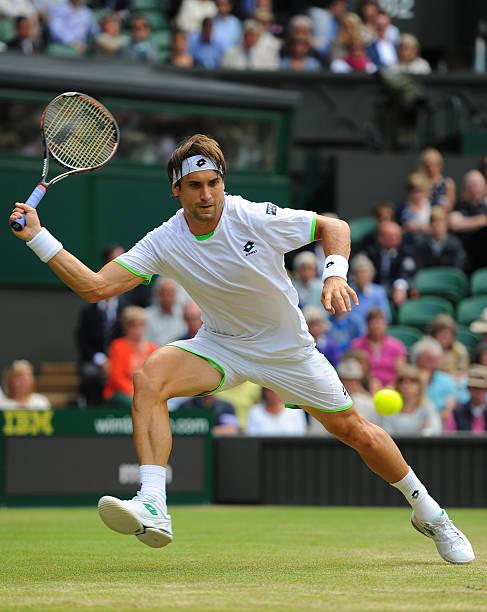 2013 wim delpotro ferrer 1 2