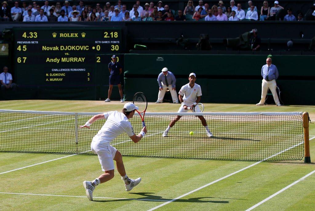 2013 wim murray djokovic 13