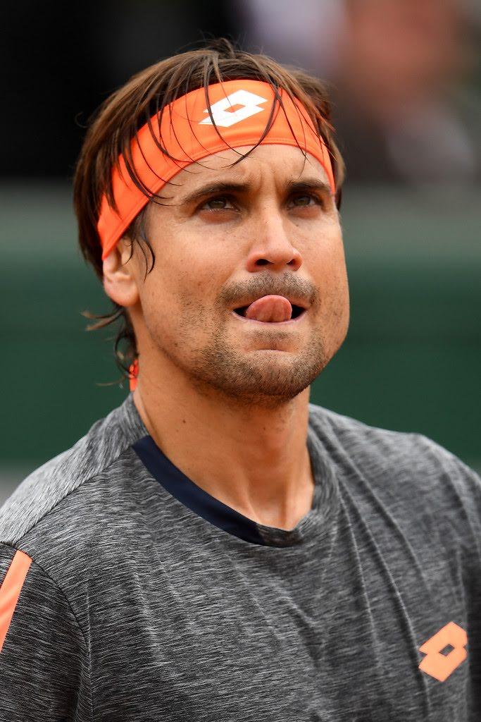 David Ferrer
